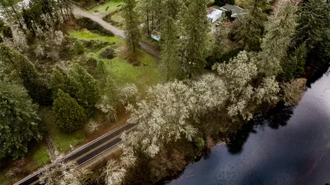 1701 Yokum Rd, Riddle, OR 97469
