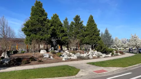 Exterior - 1409 River Run St, Central Point, OR 97502 photo 16 of 17