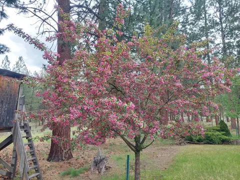 60290 Woodside Loop, Bend, OR 97702 photo 42