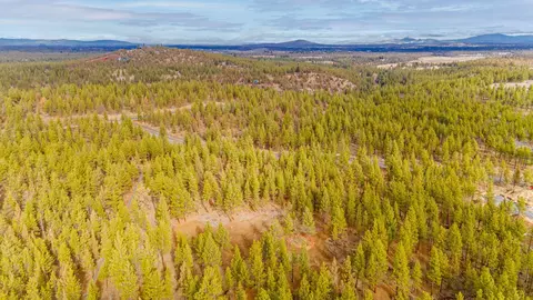 19131 Concannon Dr, Bend, OR 97703 photo 31