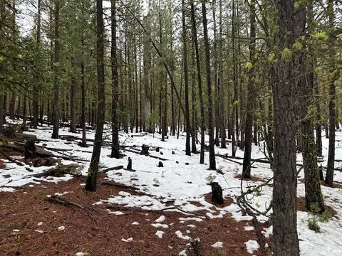 lot54 Porpoise Ln, Bonanza, OR 97623
