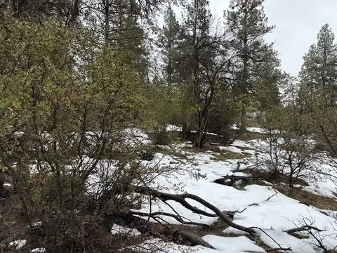 sparrow hawk drive LOT 31, Bonanza, OR 97623