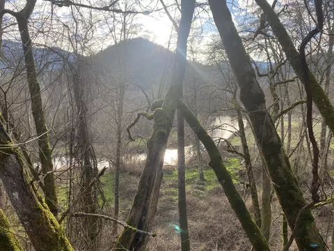 9077 N Applegate Rd, Grants Pass, OR 97527 photo 22