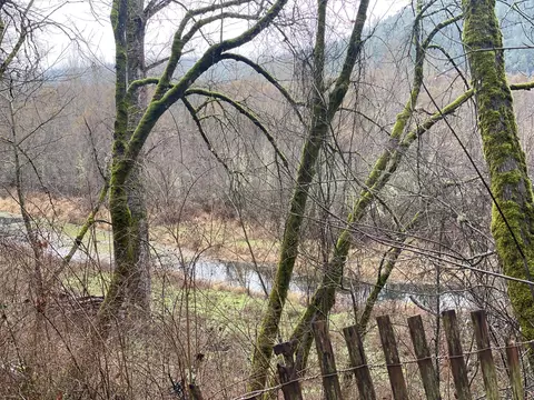 9077 N Applegate Rd, Grants Pass, OR 97527 photo 10