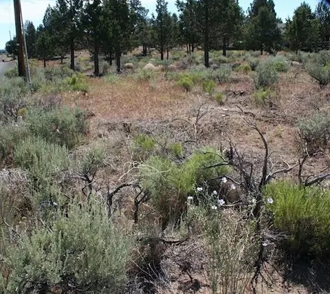 67090 Central St, Bend, OR 97703 photo 6