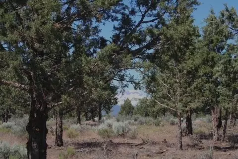 67090 Central St, Bend, OR 97703 photo 5