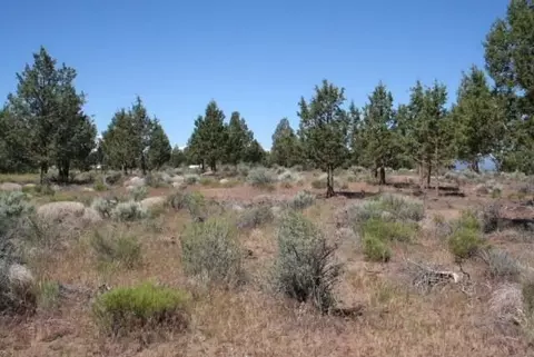 67090 Central St, Bend, OR 97703 photo 4