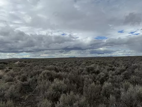 lost forest lane, Christmas Valley, OR 97641