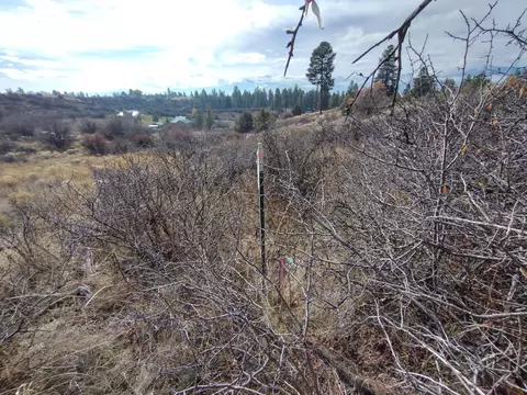 duke drive, Chiloquin, OR 97624 photo 16