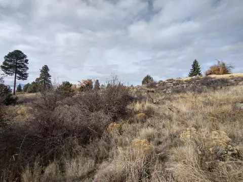 duke drive, Chiloquin, OR 97624 photo 12