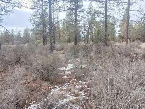 lot11 Block 51 Moccasin Ln, Chiloquin, OR 97624