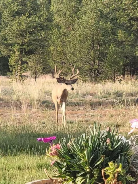 149017 Kurtz Rd, La Pine, OR 97739 photo 9