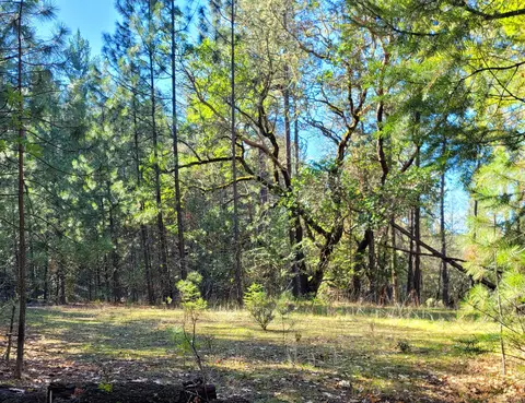 650 Humbug Creek Rd, Applegate, OR 97530