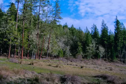 0 Cobleigh Rd, Butte Falls, OR 97522