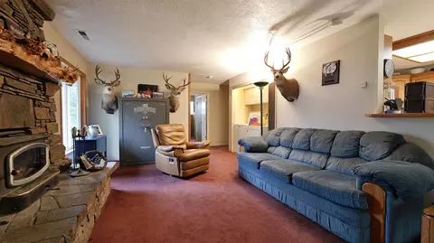 Living - 207 Danconia Dr, Trail, OR 97541 photo 5 of 5