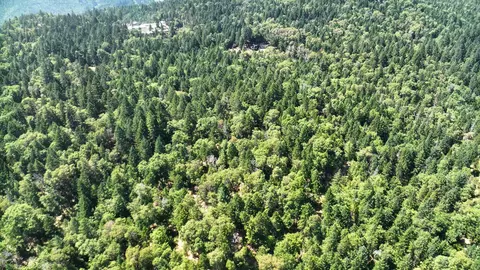 Quartz Creek Road, Merlin, OR 97532