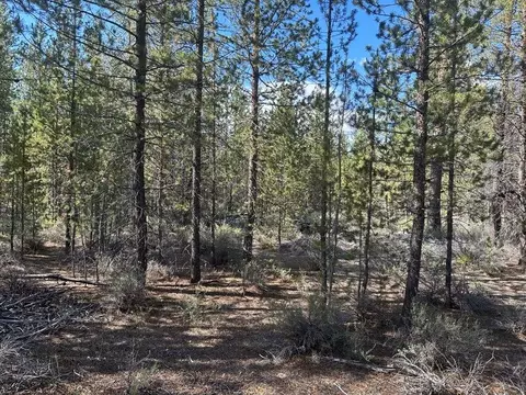 powerline, Gilchrist, OR 97737