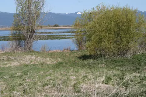 Modoc Point Rd. Lot 4, Chiloquin, OR 97624 photo 5