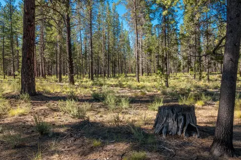 56225 Mirror Rock Loop, Bend, OR 97707 photo 4