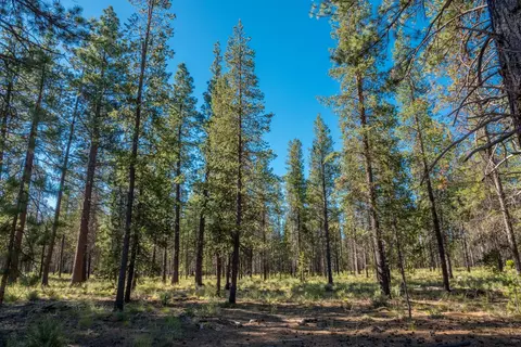 56225 Mirror Rock Loop, Bend, OR 97707 photo 3