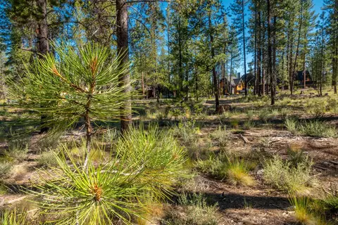 56225 Mirror Rock Loop, Bend, OR 97707 photo 6