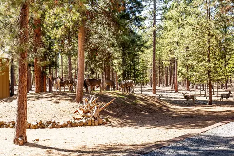 View/Area - 15322 Bear St, La Pine, OR 97739 photo 5 of 5