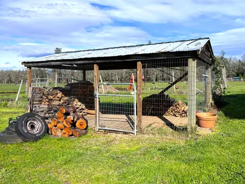 Exterior - 620 Dick George Rd, Cave Junction, OR 97523 photo 16 of 71
