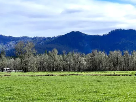 Exterior - 620 Dick George Rd, Cave Junction, OR 97523 photo 48 of 71