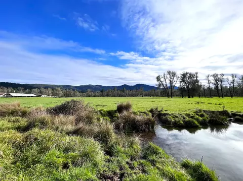 View/Area - 620 Dick George Rd, Cave Junction, OR 97523 photo 12 of 19