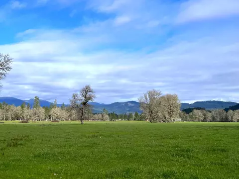 Exterior - 620 Dick George Rd, Cave Junction, OR 97523 photo 55 of 71