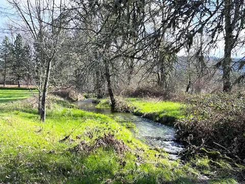 View/Area - 620 Dick George Rd, Cave Junction, OR 97523 photo 4 of 19