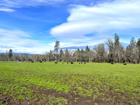 Exterior - 620 Dick George Rd, Cave Junction, OR 97523 photo 14 of 71