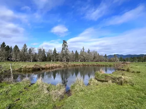 View/Area - 620 Dick George Rd, Cave Junction, OR 97523 photo 11 of 19