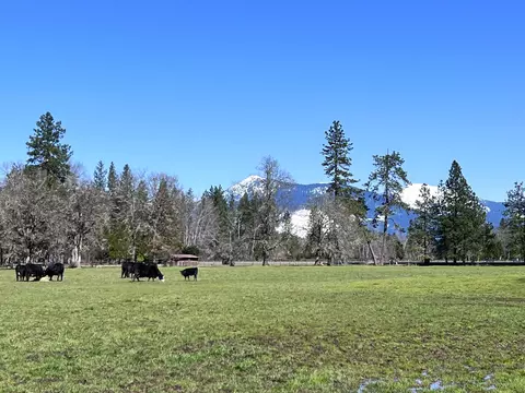 Exterior - 620 Dick George Rd, Cave Junction, OR 97523 photo 67 of 71