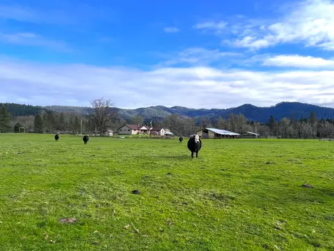 View/Area - 620 Dick George Rd, Cave Junction, OR 97523 photo 10 of 19
