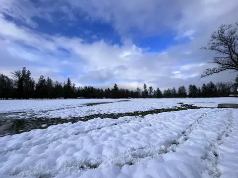 View/Area - 620 Dick George Rd, Cave Junction, OR 97523 photo 15 of 19