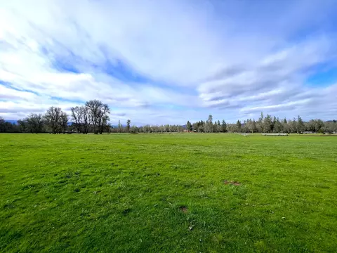 Exterior - 620 Dick George Rd, Cave Junction, OR 97523 photo 60 of 71