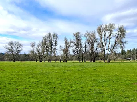 View/Area - 620 Dick George Rd, Cave Junction, OR 97523 photo 14 of 19