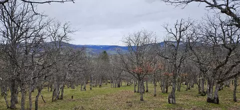 0 Hwy 66 Tl 1402 #1404, Ashland, OR 97520
