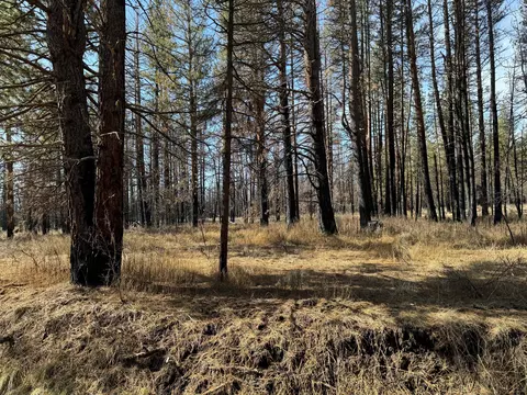 5 Acres Near Godowa Springs Rd, Beatty, OR 97621