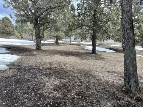 32310 Rice Rd, Unity, OR 97884 photo 45