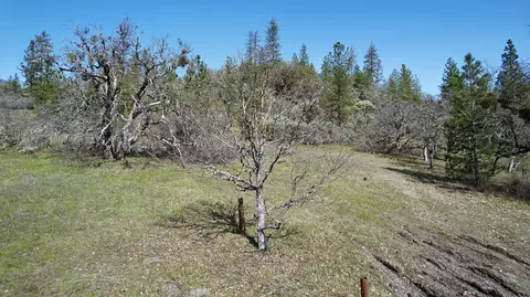 Hammel Road, Eagle Point, OR 97524 photo 8