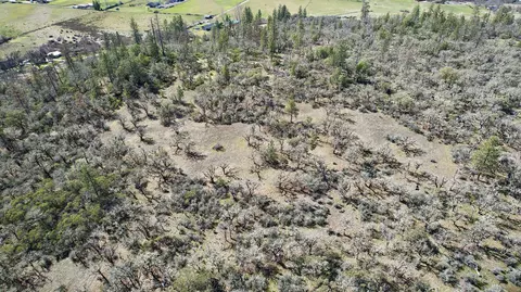 Hammel Road, Eagle Point, OR 97524 photo 18