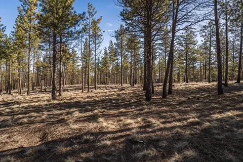 ostrom drive LOT 21, Bend, OR 97703 photo 11