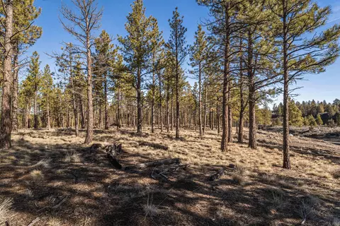 ostrom drive LOT 21, Bend, OR 97703 photo 6