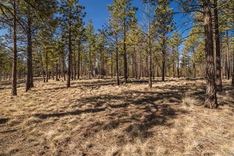 ostrom drive LOT 21, Bend, OR 97703 photo 9