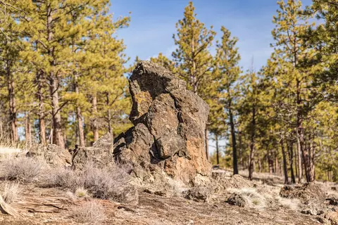 ostrom drive LOT 21, Bend, OR 97703 photo 10