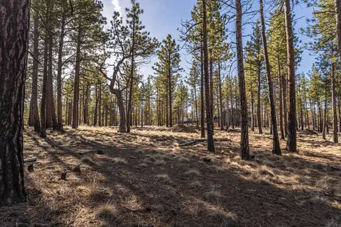 ostrom drive LOT 21, Bend, OR 97703 photo 7
