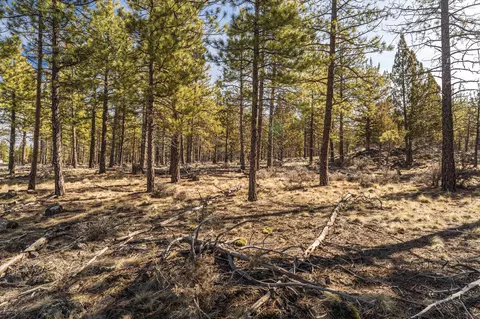19221 Concannon Dr, Bend, OR 97703 photo 12