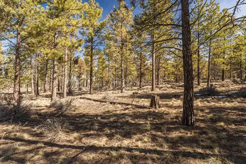 19221 Concannon Dr, Bend, OR 97703 photo 13